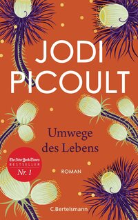 Buchcover Jodi Picoult - Umwege des Lebens